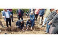 Yok olma tehlikesiyle karşı karşıya olan Sütçüler kekiği kültüre alındı