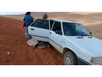 Tuzakla şahin avlayan 2 şahsa 25 bin lira ceza