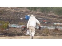 Antalya’da arı kovanları alev alev yandı