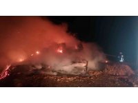 Saman yüklü tır alev alev yandı