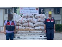 Fıstık hırsızları jandarmadan kaçamadı