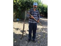 Evine giren yılan öldürüldü