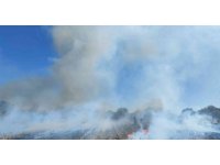 Antalya’da anız yangını itfaiye ekiplerine zor anlar yaşattı