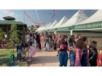 Hatay’da 6. Zeytin ve Zeytinyağı Festivali coşkusu devam ediyor