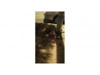 İki liseli gencin ölümüne neden olan scooter faciasında, otomobil sürücüsü tutuklandı