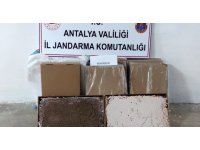 Alanya’da bir yolcu otobüsünde 36 bin adet hazır makaron ele geçirildi