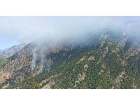 Sarp arazide çıkan orman yangınını kontrol altına alma çalışmaları sürüyor