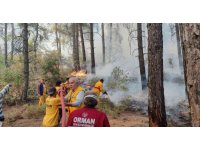 Bucak’ta çıkan orman yangını büyümeden kontrol altına alındı