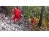 Kontrol altına alınan orman yangınında soğutma çalışmaları devam ediyor