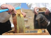 Yurt dışında kilosu 500 Dolar : Eğriçayır yaylası balının Anti Mikrobiyal olduğu tescillendi