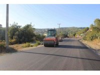 Kocavilayet- Emirler arası bağlantı yolu ulaşıma açıldı