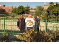 Sulama kanalına düşen yavru köpeği itfaiye kurtardı