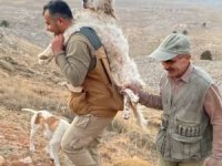 Yorulan köpeğini 5 kilometre sırtında taşıdı