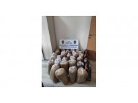 Hatay’da 165 kilo kaçak tütün ele geçirildi