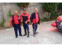 Site bahçesinde yılan paniği