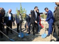 Kozan’da yüzlerce fidan toprakla buluştu