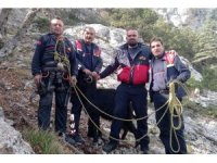 Kayalıklarda mahsur kalan 7 keçi kurtarıldı