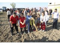 Buğday tohumları toprakla buluşturuldu