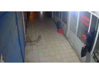 Dükkana pencereden giren hırsız, poşet dolusu cep telefonu çaldı
