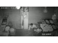 Levyeli hırsız yakayı ele verdi