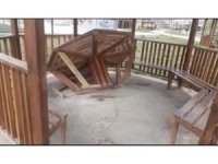 Elbistan’da park ve mesire alanlarındaki kamelyalar tahrip edildi