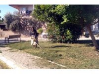 Akdeniz’de park ve yeşil alanlar elden geçiriliyor