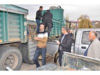 Elbistan’da üreticilere hibe destekli alıç fidanı dağıtıldı