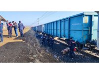 Yük treni sürüye çarptı: Çoban öldü, 30 koyun telef oldu