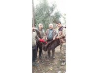 Avrupa’dan Türkiye’ye göç eden Kara Akbaba GPS sayesinde Antalya’da yakalandı