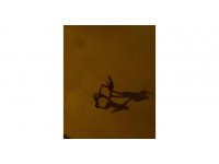 Bıçaklı sopalı kavga görüntülendi