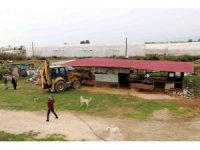 Akdeniz Belediyesi kaçak yapıları yıktı