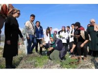 Üniversite öğrencilerine geleneksel tarım ve yenebilir otlar öğretildi