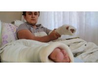 Darp edilen cam kemik hastası engelli gencin kolu ve bacağı kırıldı