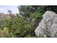 Ormanın definesi "Defne" de hasat zamanı