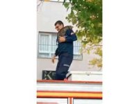 Mahsur kalan kedi, itfaiye erinin omzunda aşağı indi