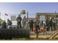 Mersin’de ’Köpekli Arama Kurtarma Çalıştayı’ sona erdi