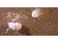 Uyuşturucu taciri 2 şüpheli tutuklandı