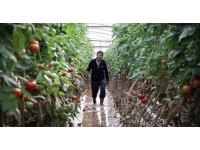 Kumluca’da çiftçilerin selden zarar gören ürünlerini zorlu kurtarma mesaisi