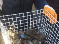 Mamamatiklerden plastik atık yerine taş parçaları çıktı