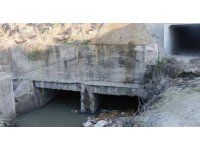 Sulama kanalında eşek kafası ve sakatatları çıktı