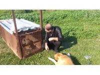 Tilkinin kurnazlığı, emekli polisin ‘Battal Gazi’ kapanına sökmedi