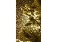 Tufanbeyli’de yoğun kar yağışı