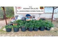 Kiraladıkları villada iklimlendirme sistemiyle kenevir yetiştirmişler