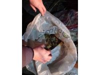 Eğirdir Gölü’nde kaçak kerevit avı baskını