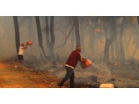 Manavgat orman yangını davasında karar