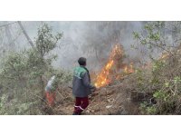 Alanya’da orman yangınında yaklaşık 10 dönüm zarar gördü