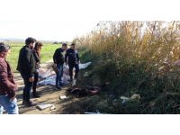 Boş araziye atılmış büyükbaş hayvan deri ve sakatatları jandarmayı harekete geçirdi