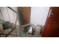 Yaşlı kadının evinin odun ve çıra dolu kovayla yakılmaya çalışıldığı iddiası