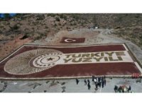 Osmaniye’de 28 bin fidanla Türkiye yüzyılı logosu oluşturuldu