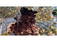 Antalya’da şiddetli yağmur yolları göle çevirdi